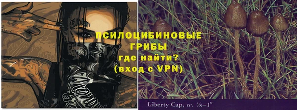 наркотики Алексин
