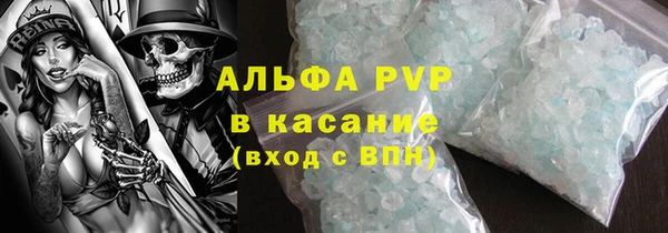 шишки Аркадак