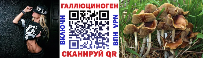 Галлюциногенные грибы ЛСД  Крым 